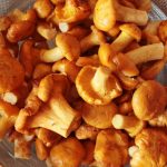 Вкусные грибы, маринованные в домашних условиях фото