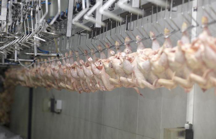 первичная обработка мяса и субпродуктов