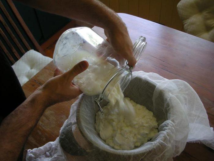 Как приготовить брынзу из коровьего молока