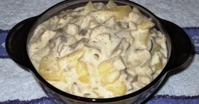 Грибы разных сортов