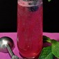 Sorbet Club Soda Float Sorbet Club Soda Float