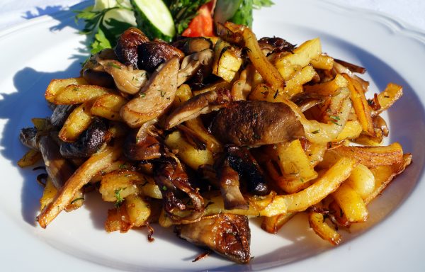 mushroom_potato-xxl