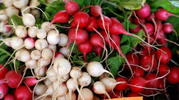 types of radishes