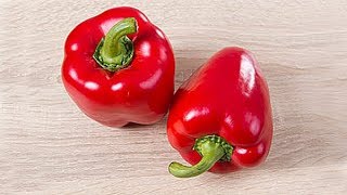 5 РЕЦЕПТОВ, которые обязательно стоит попробовать! Закуски из ПЕРЦА 5 РЕЦЕПТОВ, которые обязательно стоит попробовать! Закуски из ПЕРЦА