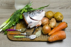 Уха из головы семги: Ингредиенты Уха из головы семги: Ингредиенты
