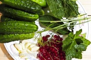 Огурцы маринованные с красной смородиной: Ингредиенты Огурцы маринованные с красной смородиной: Ингредиенты