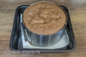 Шоколадный торт с черной смородиной: Выпекаем бисквит