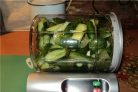Малосольные огурцы в маринаторе