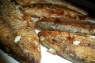 Жареная рыба чебак