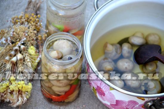 Шампиньоны кладут в банки, заливают маринадом
