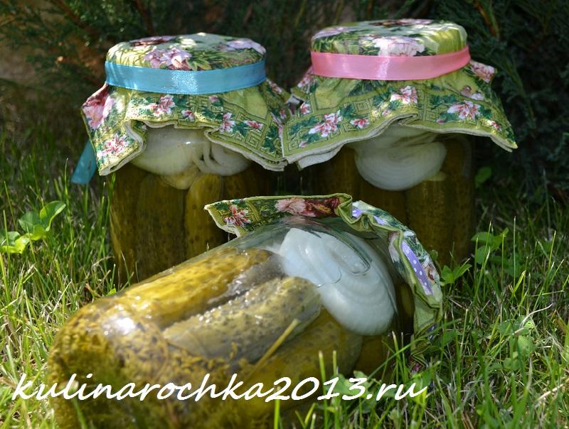 огурцы с луком огурцы с луком