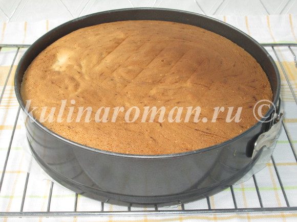 нежный бисквит для торта нежный бисквит для торта