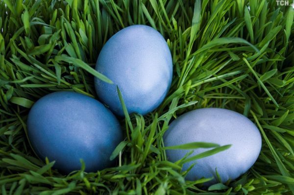 Три синих яйца лежат в зелёном луке