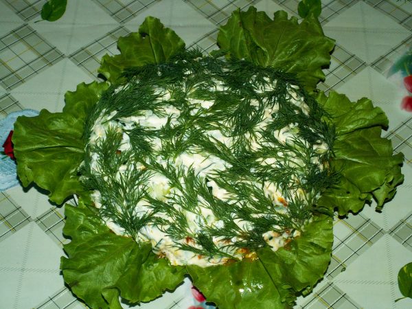 Рыбный салат на салатных листьях со свежим укропом