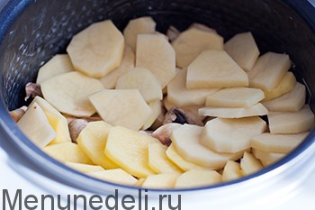 Картошка с грибами в мультиварке Картошка с грибами в мультиварке