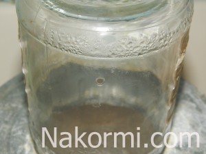 Маринованные шампиньоны на зиму