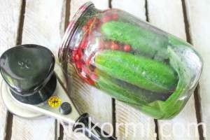 Маринованные огурцы с красной смородиной без стерилизации