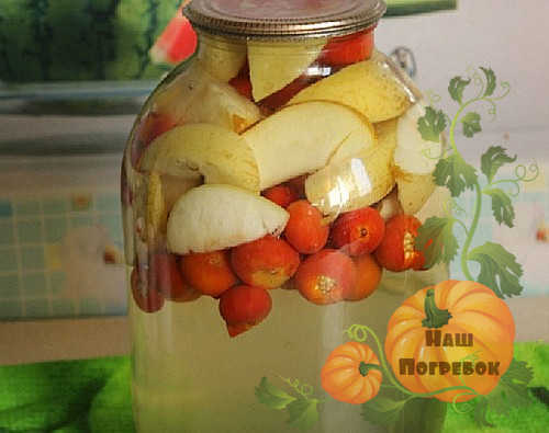 shipovnik-s-yablokami-v-banke-na-zimu