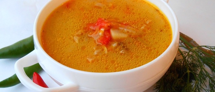 щи из квашеной капусты со свининой