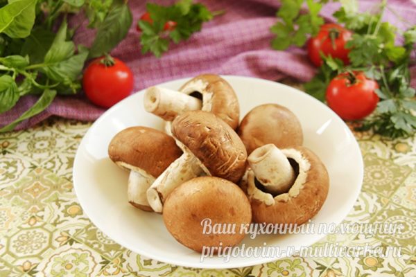 грибы
