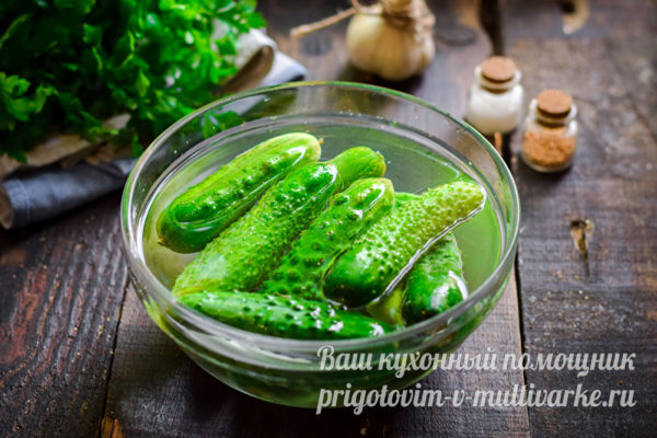 огурцы