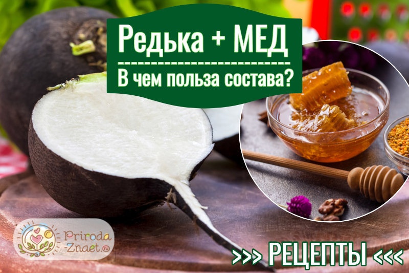 Редька и мед Редька и мед