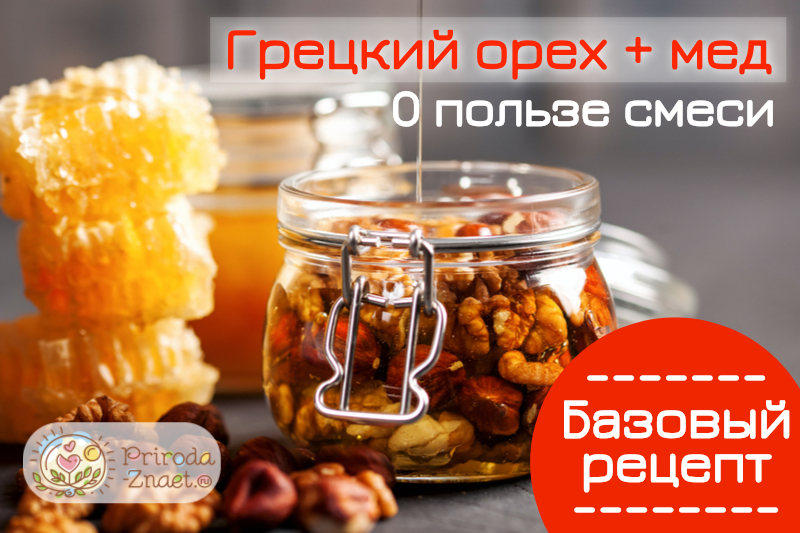 Ядра грецкого ореха в меде Ядра грецкого ореха в меде