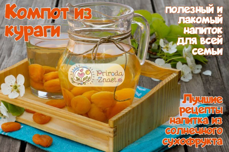 Компот из кураги Компот из кураги