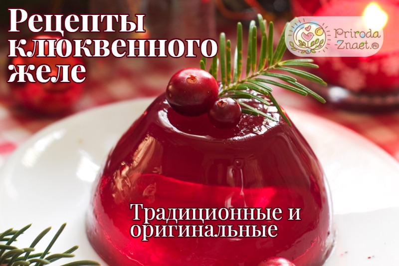 Желе из клюквы Желе из клюквы