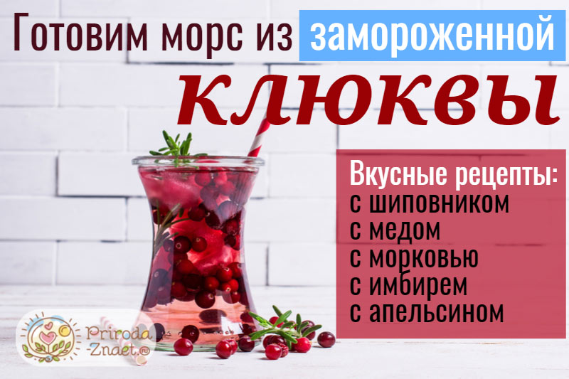 Клюквенный морс по душе взрослым и детям Клюквенный морс по душе взрослым и детям
