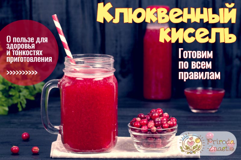Клюквенный кисель – это дополнительная порция здоровья Клюквенный кисель – это дополнительная порция здоровья