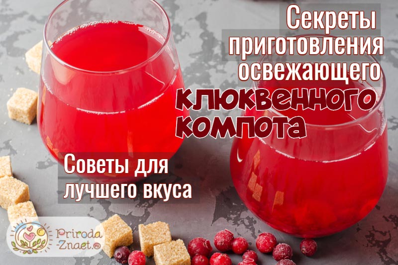 Компот из клюквы Компот из клюквы