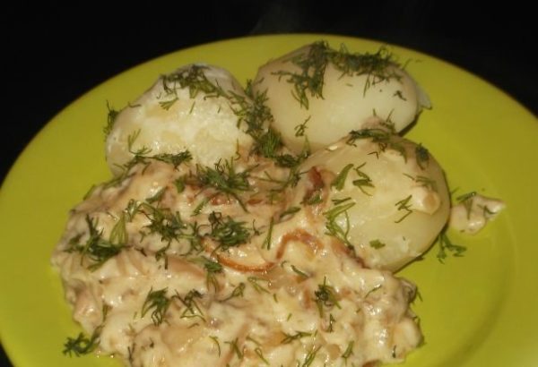 Блюдо из грибов в сметане. Быстро, просто и вкусно! Блюдо из грибов в сметане. Быстро, просто и вкусно!