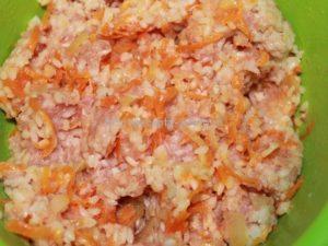 Фарш лук морковь специи Фарш лук морковь специи