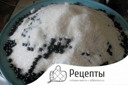 1495774069_varene-iz-chernoy-smorodiny-na-zimu-42