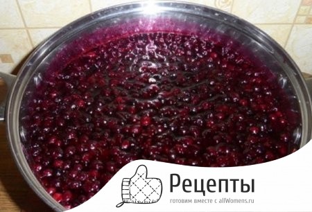 1495774112_varene-iz-chernoy-smorodiny-na-zimu-14