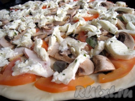 Выложить на тесто для пиццы начинку - слой помидоров, затем листочки базилика, потом курицу и шампиньоны, по вкусу посыпать специями "для пиццы" (перцы и ароматные итальянские травы...), положить кусочки моцареллы. Поместить пиццу в разогретую до 200-215 градусов духовку на 15 минут.