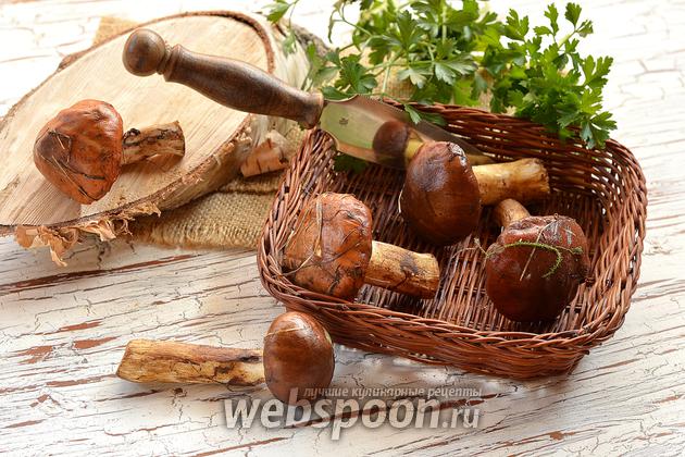 Фото совета Как чистить маслята
