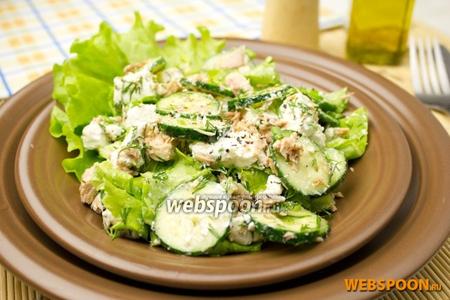 Фото рецепта Зелёный салат с тунцом и сыром Фета