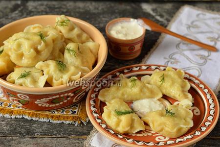 Фото рецепта Вареники с картофелем, белыми грибами и укропом