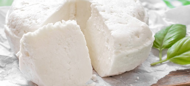сыр в домашних условиях из кислого молока