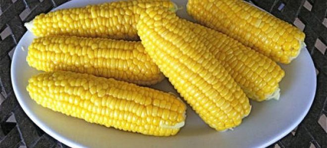 Как сварить замороженную кукурузу