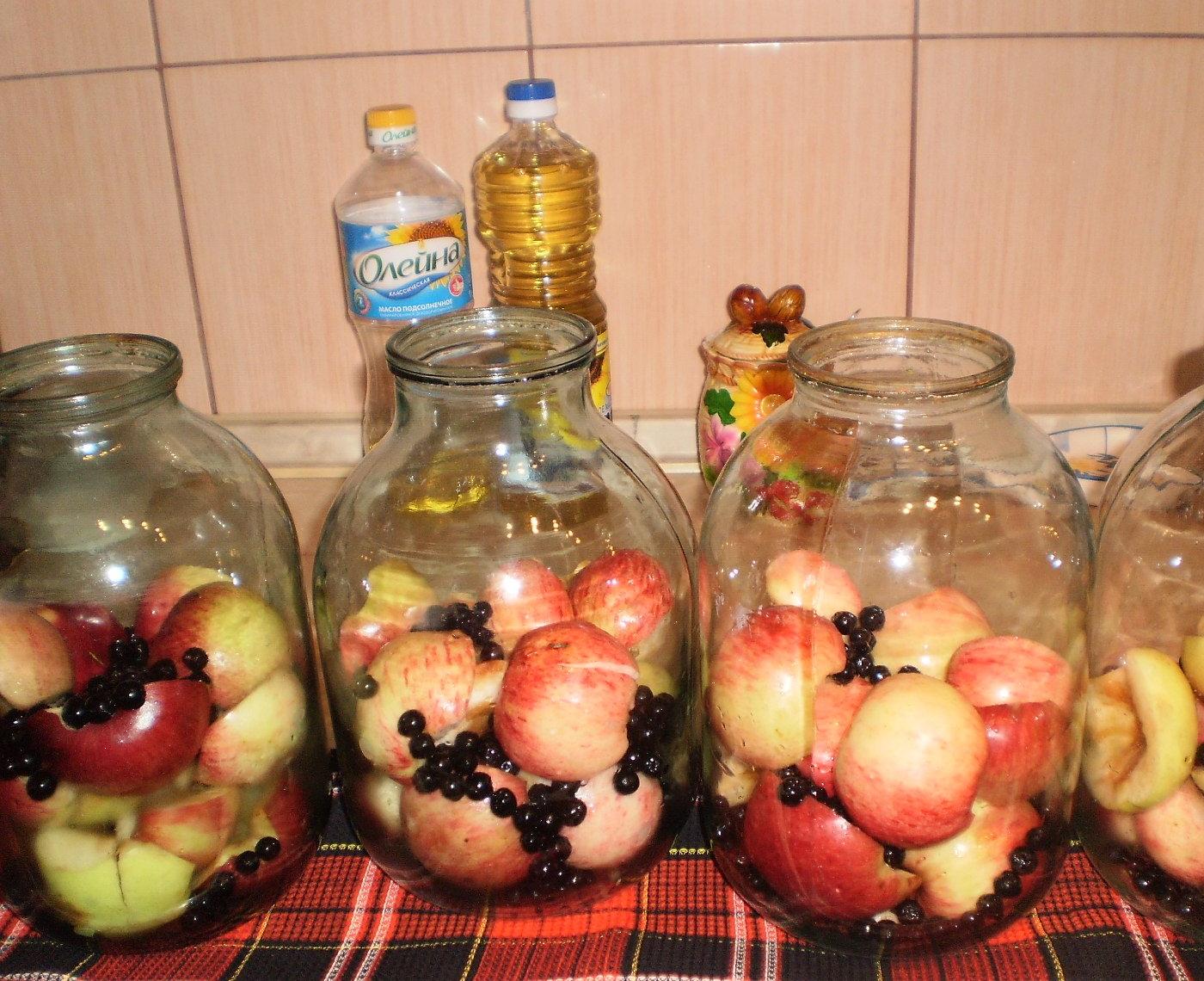 Компот из яблок и черноплодной рябины
